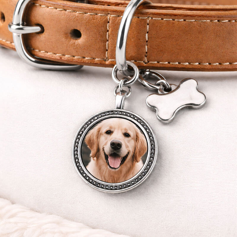 Kişiye Özel Fotoğraflı Köpek Tasması Charm – Evcil Hayvan Resimli Tasma Ucu