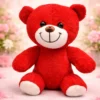 Kırmızı Peluş Oyuncak Ayıcık